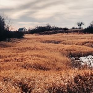 Meet your Posher, Meghan